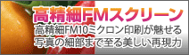 ����ʔ̃v���G�C�g
������FM�X�N���[��
������FM10�~�N���������������
�ʐ^�̍ו��܂Ŏ���������Č���
